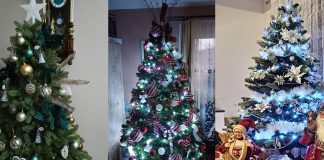 În culisele sezonului: cum sunt produși, transportați și livrați brazii artificiali